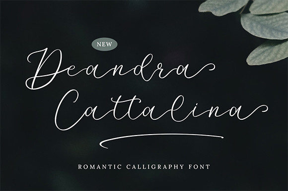 Deandra Cattalina: A Script Font for Editorial Design and Creative Branding