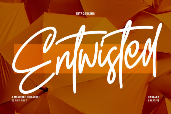 Entwisted: A Modern Script Handwritten Font for Standout Campaigns