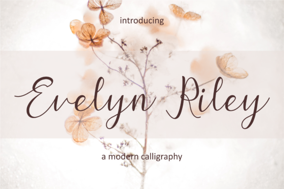 Evelyn Riley: The Script Font That Elevates Brand Storytelling