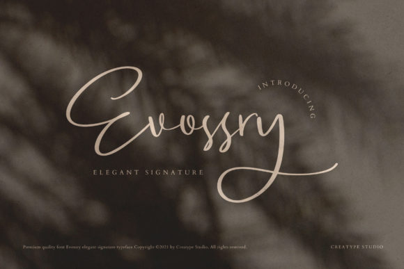 Evossry: The Font That Elevates Your Brand’s Visual Story
