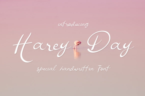 Harey Day: The Perfect Script Font for Dynamic Branding and Digital Campaigns