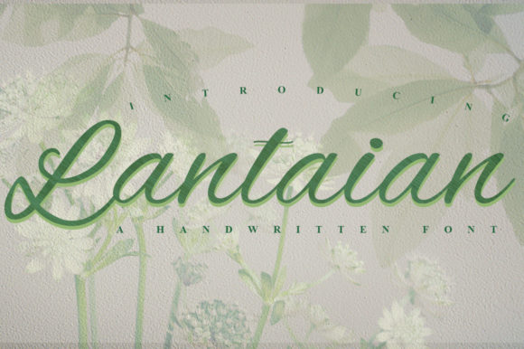 Lantaian: A Script Handwritten Font for Scroll-Stopping Brand Content