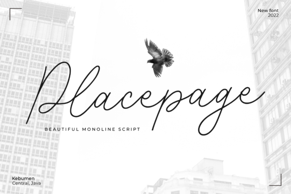 Placepage: The Script Font That Elevates Your Brand