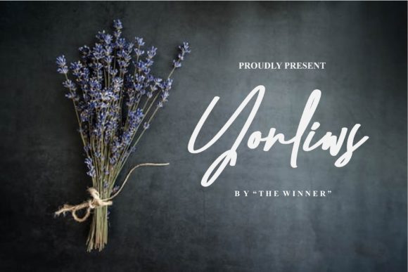 Yonliws: A Script Font That Elevates Branding with Elegance